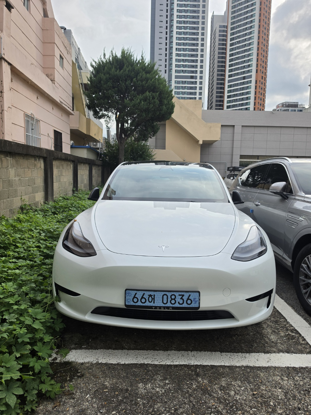모델Y (RWD)